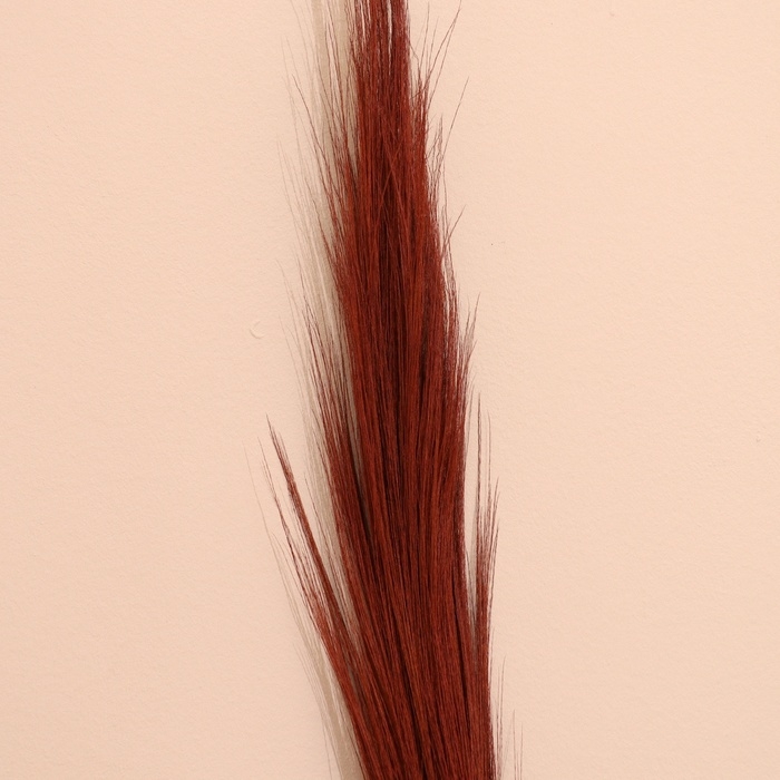 Сухоцвет набор  120 см коричневый