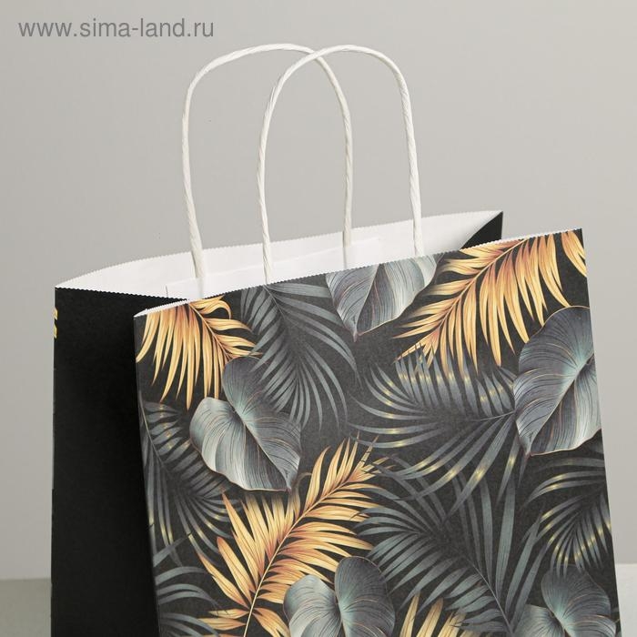 Пакет подарочный крафтовый, упаковка, «Тропики», 25 х 22 х 12 см Пакет подарочный крафтовый, упаковка, «Тропики», 25 х 22 х 12 см