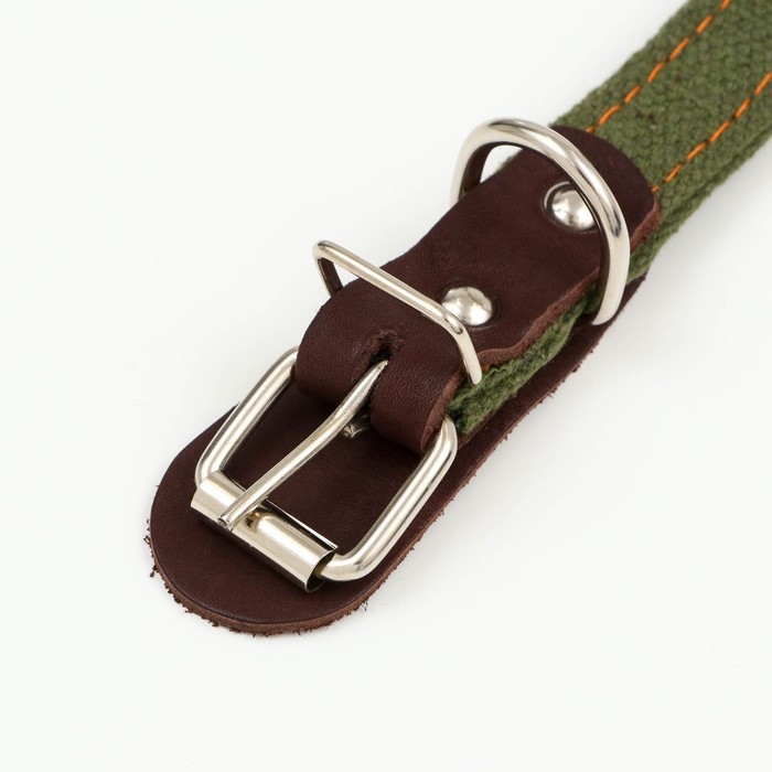 Ошейник брезентовый двухслойный безразмерный,с языком и кожаной косточкой,2х55 см,ОШ 31-54 см Ошейник брезентовый двухслойный безразмерный,с языком и кожаной косточкой,2х55 см,ОШ 31-54 см