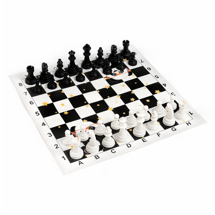 Шахматы - шашки Шахматы - шашки "Время игры", настольные игры 2 в 1, 32 х 32 см