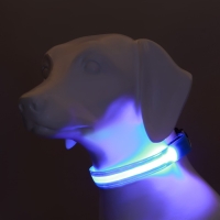 Ошейник с подсветкой Двойная полоса размер XL, ОШ 52-60 х 2,5 см, 3 режима свечения голубой