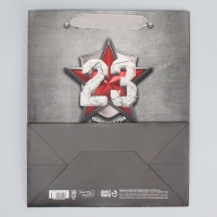 Пакет подарочный ламинированный вертикальный, упаковка, &laquo;Защитнику&raquo;, ML 23 х 27 х 11.5 см