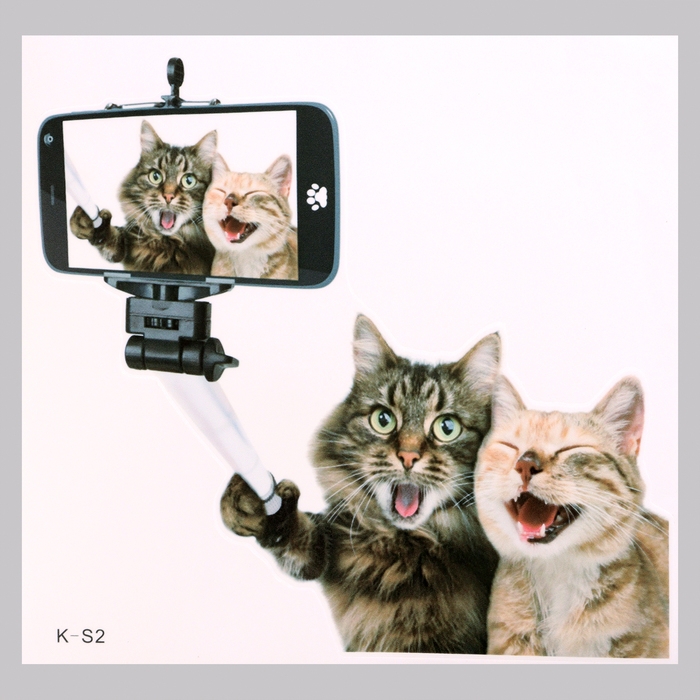 Наклейка 3Д интерьерная Котики 30*30см Наклейка 3Д интерьерная Котики 30*30см