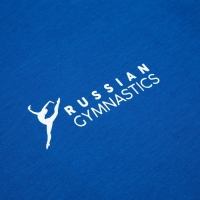 Футболка President Спорт.Гимнастика, размер М, цвет синий Футболка President Спорт.Гимнастика, размер М, цвет синий