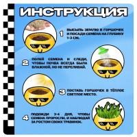 Набор для опытов, для детей «Выращиваем травку», растение в горшочке - эмодзи «Крутой» Набор для опытов, для детей «Выращиваем травку», растение в горшочке - эмодзи «Крутой»