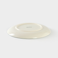 Тарелка керамическая &laquo;Пена&raquo;, d=21 см