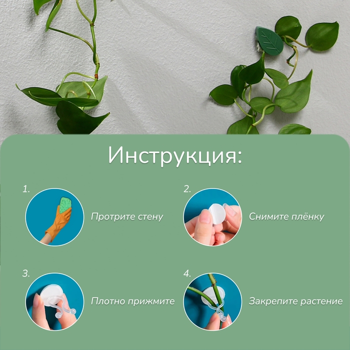 Крепления для вьющихся растений, самоклеящиеся, &laquo;Листок&raquo;, набор 10 шт., Greengo