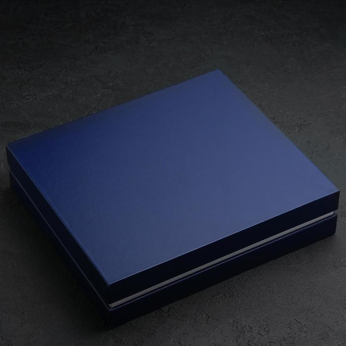 Набор столовый «Аппетит», 24 предмета, толщина 2 мм, декоративная коробка Набор столовый «Аппетит», 24 предмета, толщина 2 мм, декоративная коробка