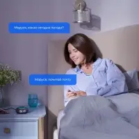 Умная колонка &laquo;Капсула Мини&raquo; с помощником &laquo;Маруся&raquo;, темно-серая