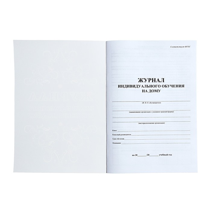 Журнал индивидуального обучения на дому А4, 24 листа, обложка мелованный картон 190 г/м&sup2;, блок офсетная бумага 65 г/м&sup2;
