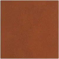 Лейбл Shan Nubuсk, L, коричневый