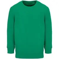 Свитшот детский Columbia Kids, ярко-зеленый, на рост 154-164