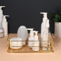 Органайзер для хранения косметических принадлежностей «РАФАЭЛЬ», 24,5 × 16,5 × 6,5 см, цвет золотистый Органайзер для хранения косметических принадлежностей «РАФАЭЛЬ», 24,5 × 16,5 × 6,5 см, цвет золотистый