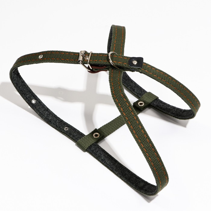 Шлейка брезентовая на фетре, восьмерка, регулируемая,2 см,ОШ 36-56см,ОГ 54-62 см, т. зелёная Шлейка брезентовая на фетре, восьмерка, регулируемая,2 см,ОШ 36-56см,ОГ 54-62 см, т. зелёная