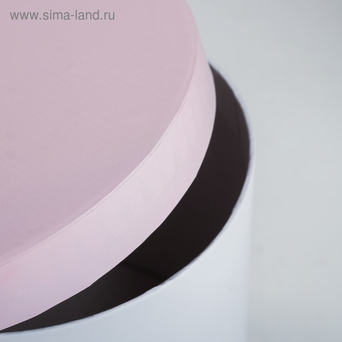 Набор коробок 3 в 1, упаковка подарочная, &laquo;Котики&raquo;, 14 х 14 х 13 - 18 х 18 х 15 см