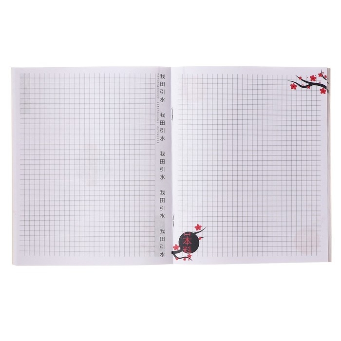 Тетрадь 48 листов в клетку Calligrata TOP Тетрадь 48 листов в клетку Calligrata TOP "Аниме. Парень и небо", обложка мелованный картон, матовая ламиниция, выборочный УФ-лак, дизайн внутреннего блока, офсет