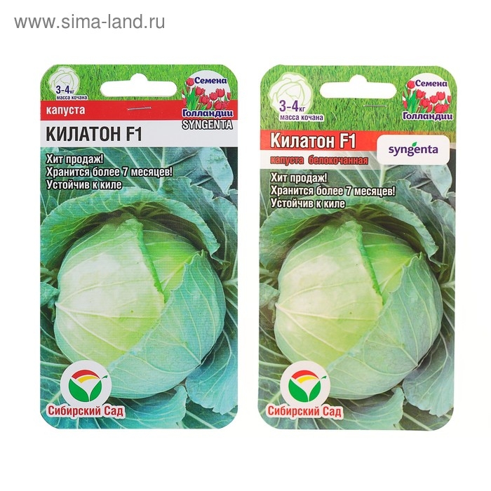 Семена Капусты белокочанной Семена Капусты белокочанной "Килатон", F1, 10 шт.