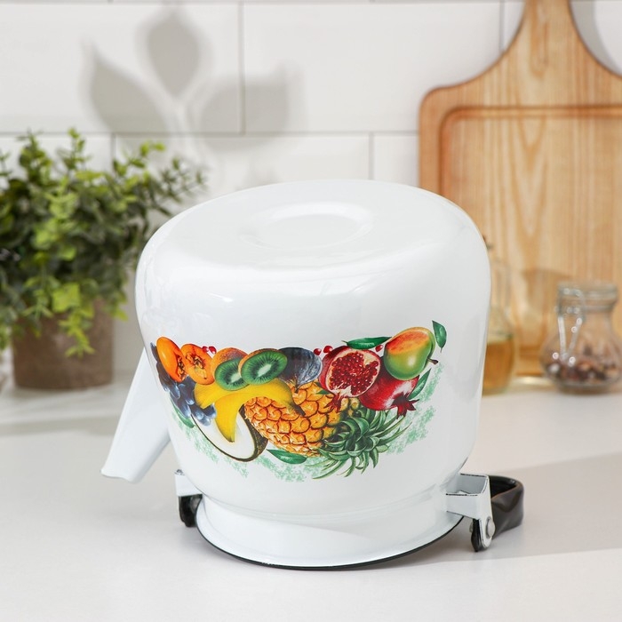 Чайник эмалированный сферический &laquo;Эквадор&raquo;, 3,5 л, цвет белый