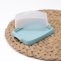 Маслёнка &laquo;Таира&raquo;, пластиковая, 16,5&times;12 см, цвет бирюзовый