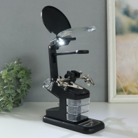 Лампа-лупа набор с увеличительным стеклом х2,5 х4,5 х25 LEDx2 от LR44 чёрный 18,5х11,5х23 см Лампа-лупа набор с увеличительным стеклом х2,5 х4,5 х25 LEDx2 от LR44 чёрный 18,5х11,5х23 см