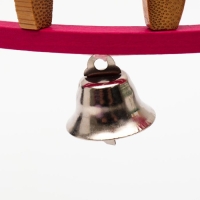 Игрушка для птиц "Лесенка", микс Игрушка для птиц "Лесенка", микс