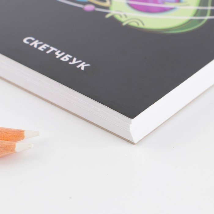 Скетчбук &laquo;Авокадо&raquo;, А6, 80 л, 100 г/м