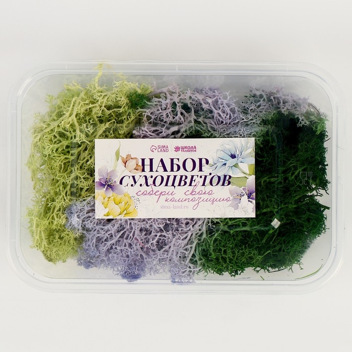 Набор сухоцветов &laquo;Мох&raquo;, цвет МИКС