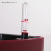 Кашпо для цветов с автополивом Unicum, пластик, 1,1 л, цвет МИКС Кашпо для цветов с автополивом Unicum, пластик, 1,1 л, цвет МИКС