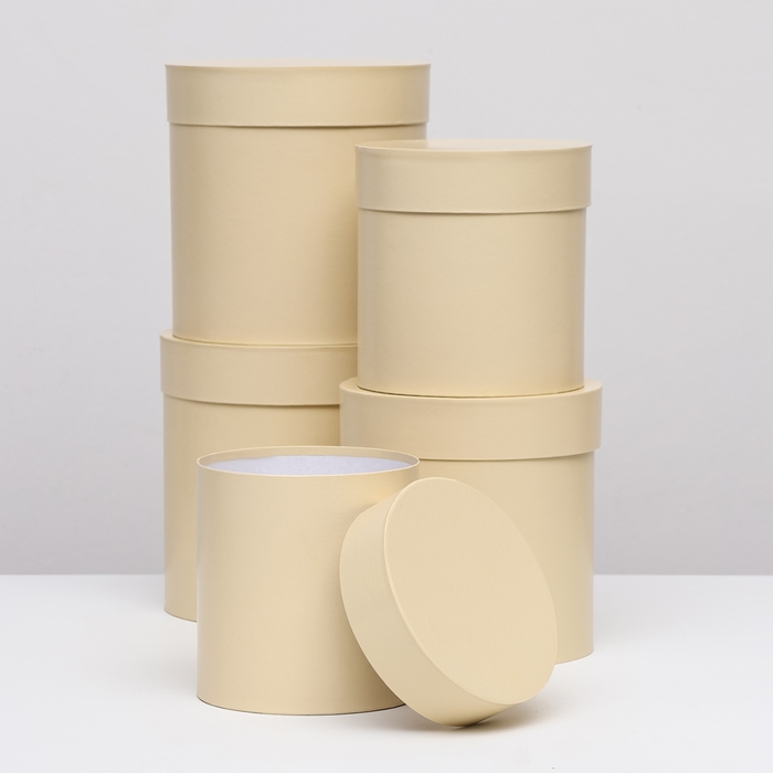 Набор круглых коробок 5в1 Набор круглых коробок 5в1 "Ваниль перламутровая", 20 × 20 ‒15 × 15 см