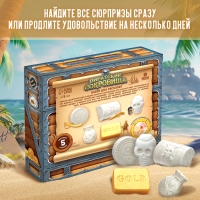 Набор для раскопок &laquo;Пиратские сокровища&raquo;