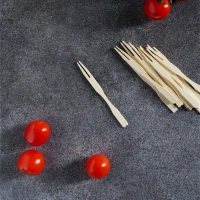 Шпажки для канапе Доляна, бамбук, 100 шт, 12×12 см Шпажки для канапе Доляна, бамбук, 100 шт, 12×12 см