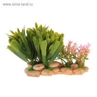 Растение искусственное аквариумное на подставке под камень, 14 х 11 х 7 см Растение искусственное аквариумное на подставке под камень, 14 х 11 х 7 см