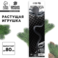 Змея растущая в воде. Растущие игрушки &laquo;Вырасти своего питомца. Черно-белая Змея&raquo;, символ года 2025