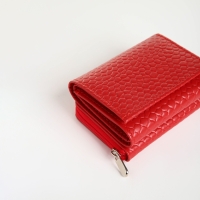 Кошелёк женский на молнии, цвет красный Кошелёк женский на молнии, цвет красный