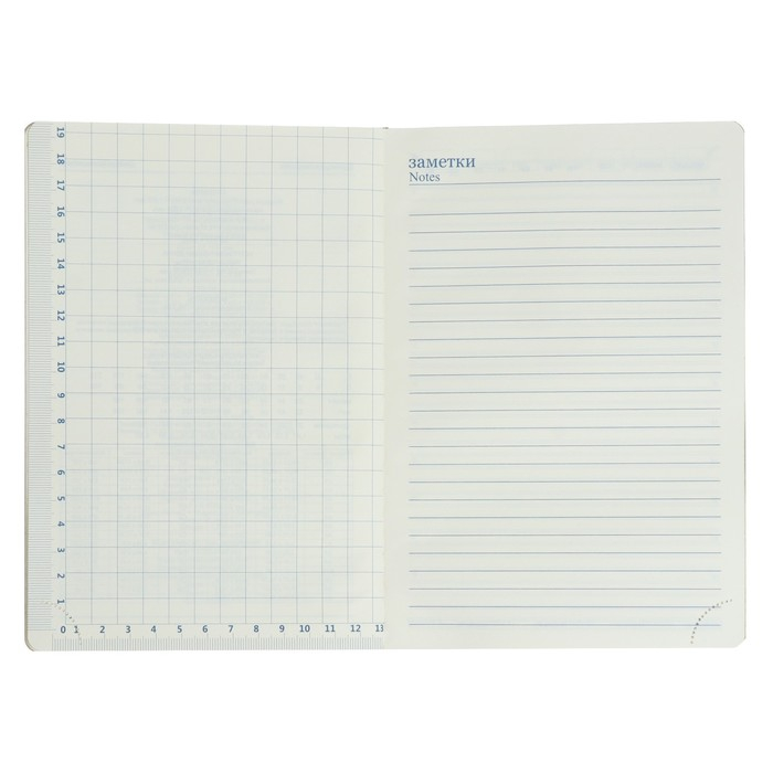 Ежедневник недатированный А5, 140 листов в клетку, с хлястиком, обложка пвх, МИКС