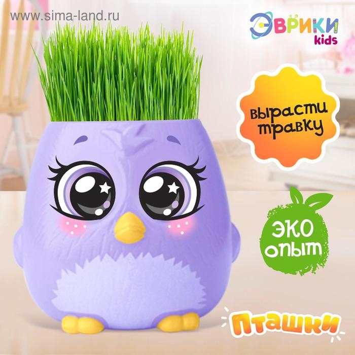 Набор для опытов «Пташки, выращиваем травку», фиолетовый горшочек Набор для опытов «Пташки, выращиваем травку», фиолетовый горшочек