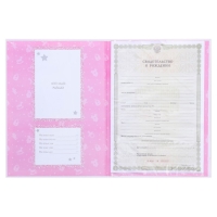 Папка для свидетельства о рождении с уголками &laquo;Мои первые документы&raquo;, для девочки, А4