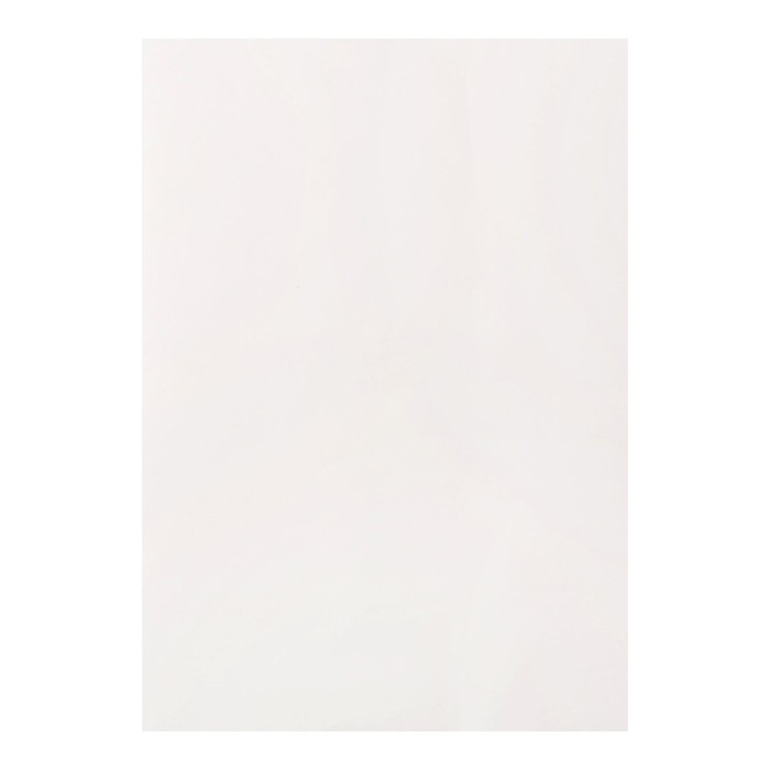 Калька для чертёжных и дизайнерских работ А3, 40 листов в папке, 40 г/м² Калька для чертёжных и дизайнерских работ А3, 40 листов в папке, 40 г/м²
