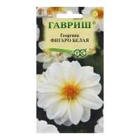 Семена Георгина "Фигаро", белая 7 шт. Семена Георгина "Фигаро", белая 7 шт.