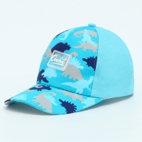 Кепка детская для мальчика &laquo;Динозавры&raquo;, цвет голубой, р-р 52-54, 5-7 лет