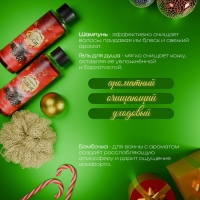 Новогодний подарочный набор косметики &laquo;Зимняя вьюга&raquo;, с ароматом хвои и корицы. Красная серия
