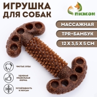 Игрушка для собак "Ключ", TPR+Бамбук, массажная, 12 х 3,5 х 5 см Игрушка для собак "Ключ", TPR+Бамбук, массажная, 12 х 3,5 х 5 см