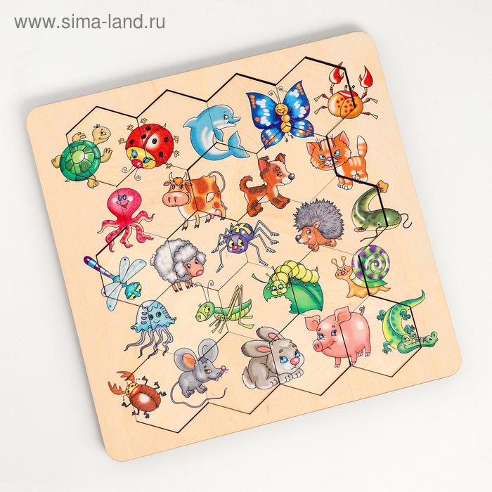 Пазл деревянный «Занимательные соты» Пазл деревянный «Занимательные соты»