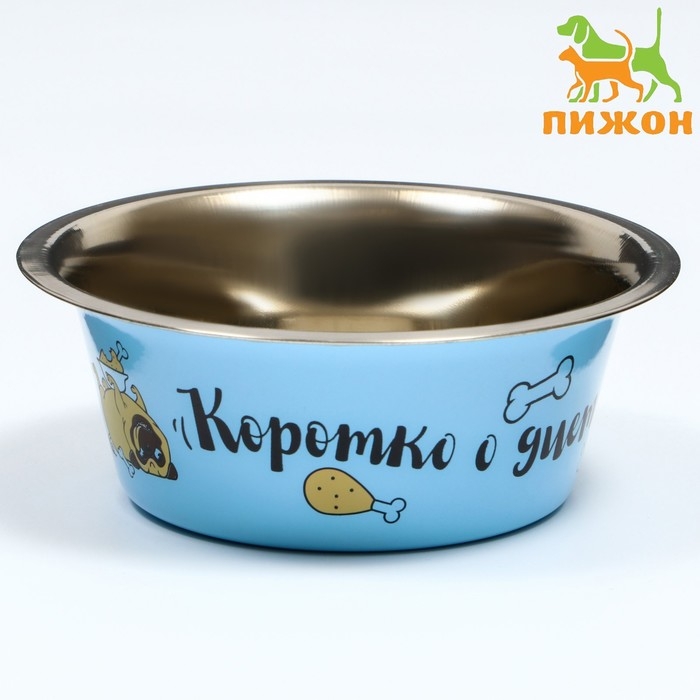 Миска стандартная Миска стандартная "Пижон. Коротко о диете", 450 мл