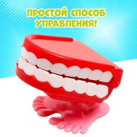 Заводная игрушка «Челюсти», прыгает, МИКС Заводная игрушка «Челюсти», прыгает, МИКС