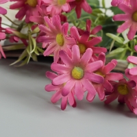 Букет "Хризантема бакарди" 30 см, микс Букет "Хризантема бакарди" 30 см, микс