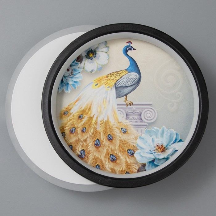 Бра Бра "Павлин" LED 21Вт 4000К черно-белый 19х23х5 см