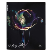 Тетрадь 96 листов в клетку, ErichKrause X-Ray Art, обложка мелованный картон, голографическая ламинация, блок офсет 100% белизна, МИКС Тетрадь 96 листов в клетку, ErichKrause X-Ray Art, обложка мелованный картон, голографическая ламинация, блок офсет 100% белизна, МИКС