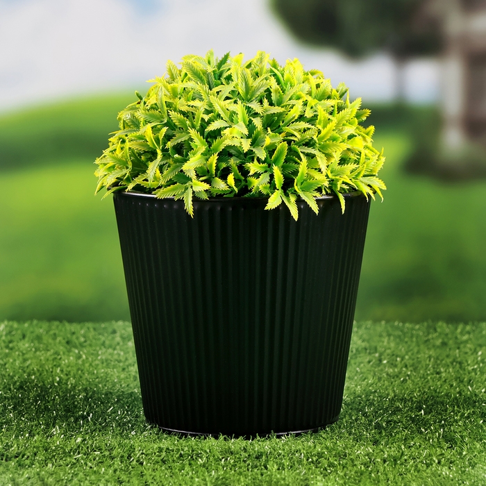 Кашпо "Ведерко Килли" черное, 14х14х13см