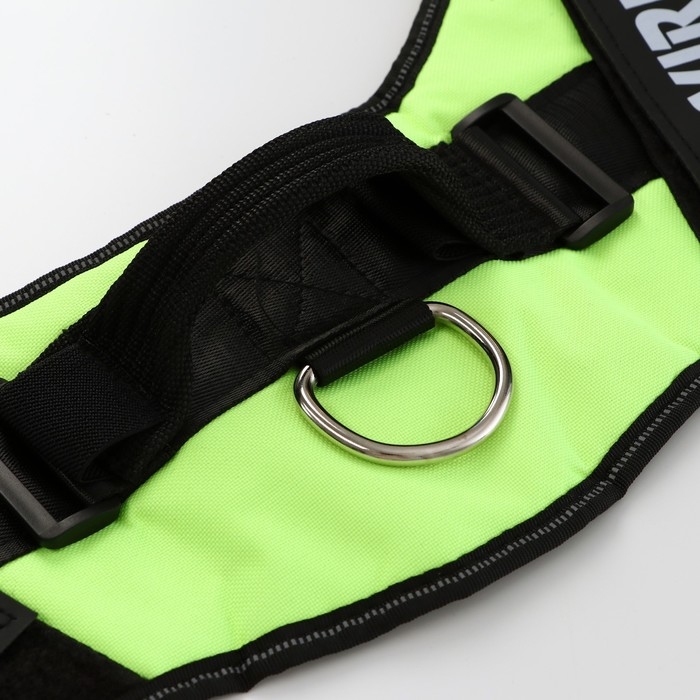 Шлейка К9 мягкая светоотражающая, размер ХХL, ОГ 95-110 см, вес 40-70 кг, салатовая